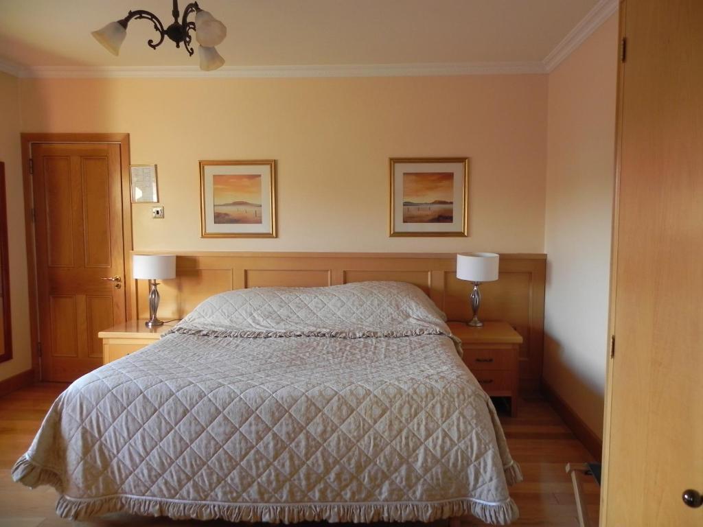 Hotel Shelmalier House Athlone Pokój zdjęcie